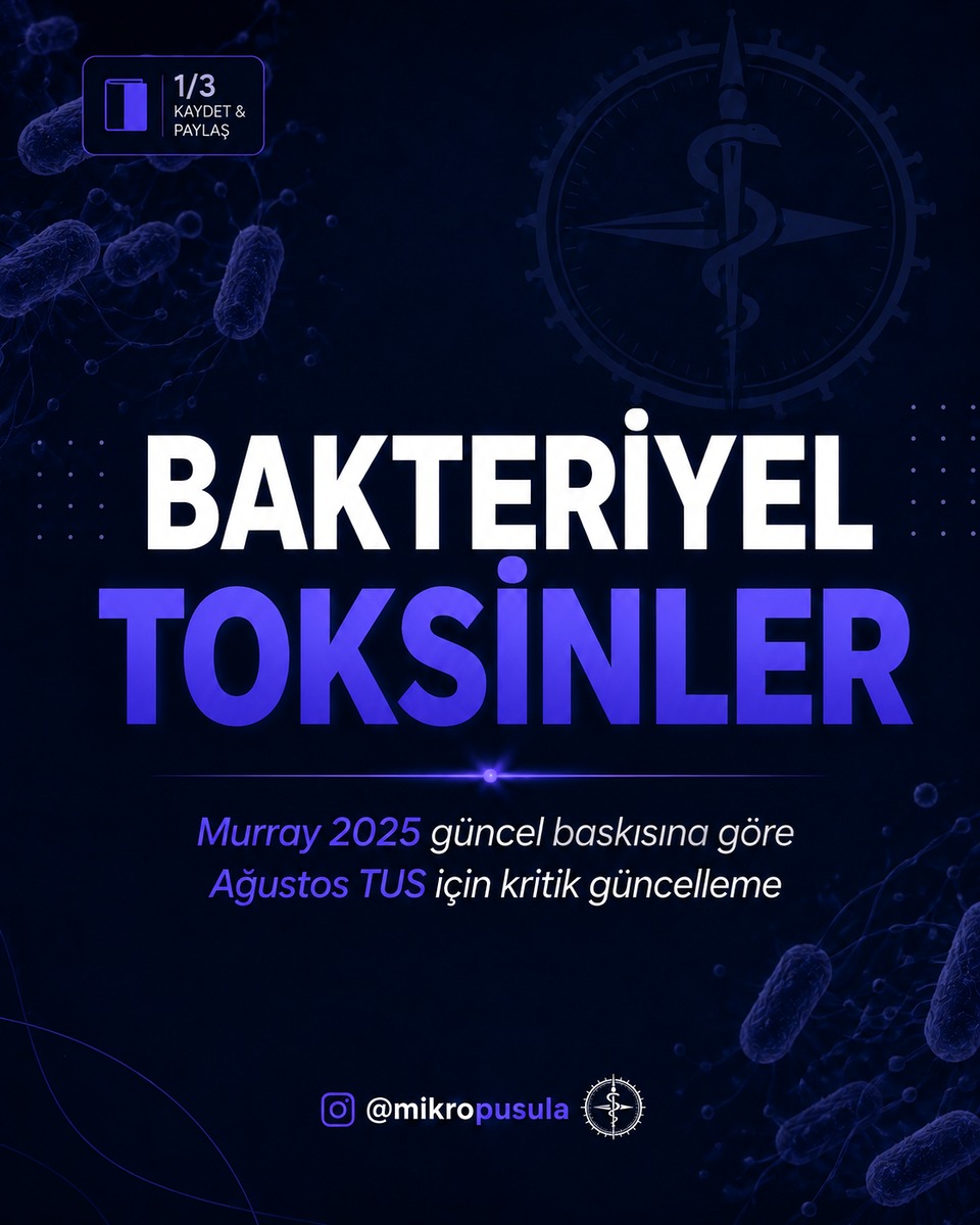 Mikropusula Instagram içeriği