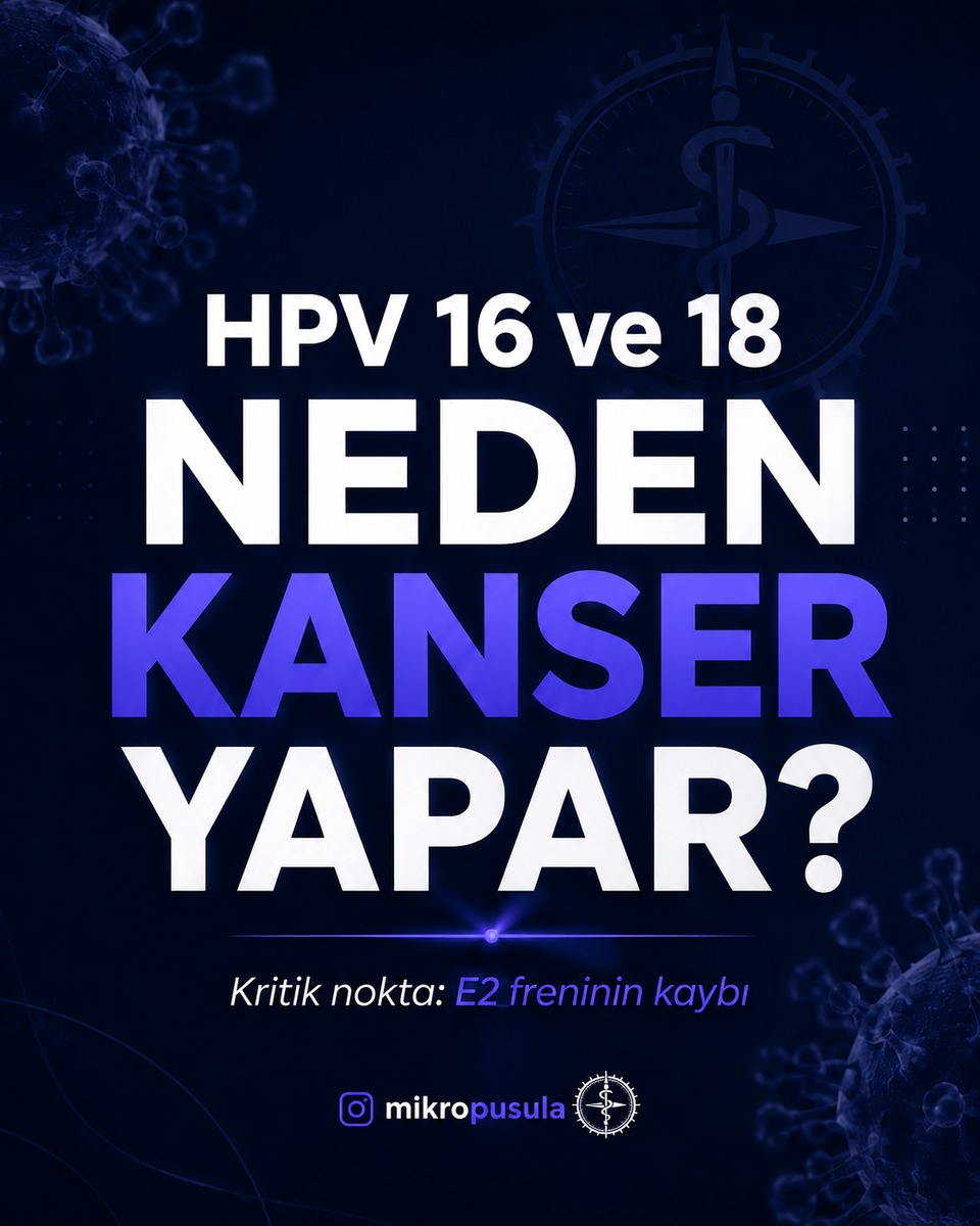 Mikropusula Instagram içeriği